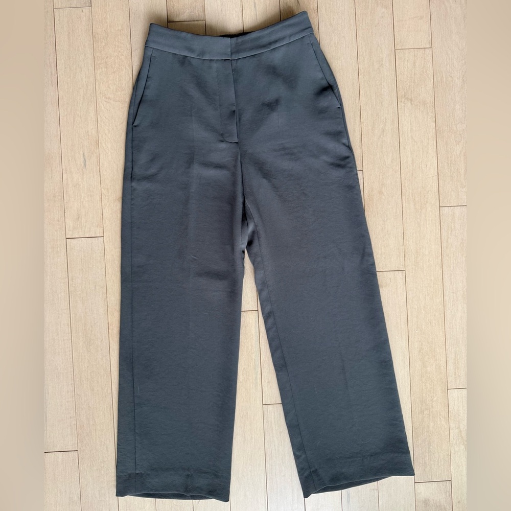 Aritzia Alayna Pant